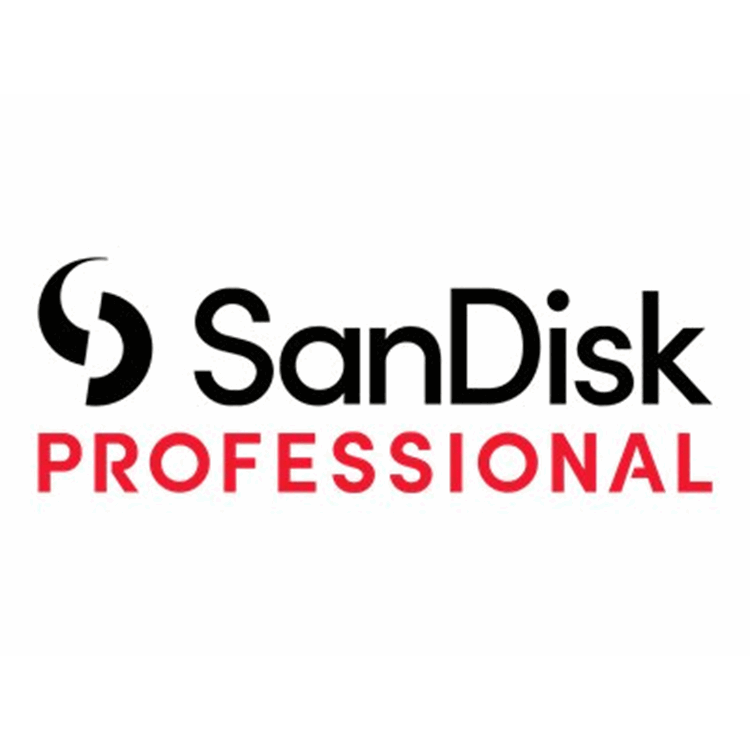 SANDISK Professional Pro Blade Station