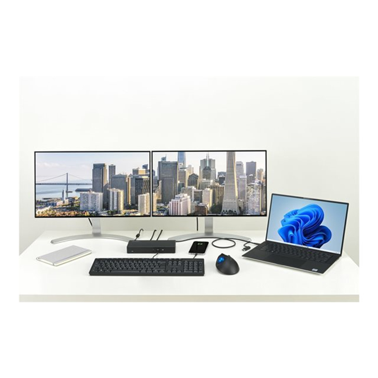 SD4781P USB-C USB-A DUAL 4K DOCKING STAT