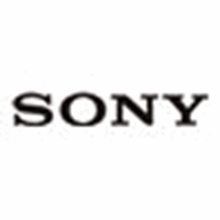 Sony SRG-X400BC/4KL camera