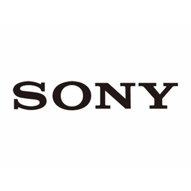 Sony SRG-X400WC/4KL camera