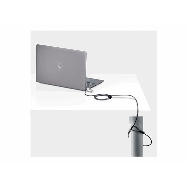 STARTECH 10-Pack Dual-Access Laptop Lock