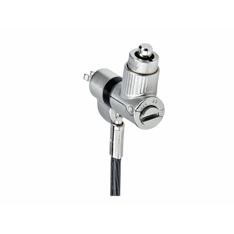 STARTECH 25-Pack Universal Laptop Lock