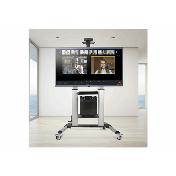 STARTECH Rolling TV Cart/Portable Mount