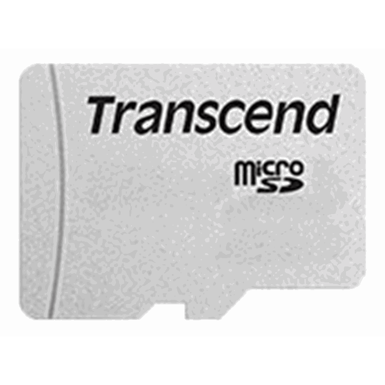 TRANSCEND 4GB microSD without Adapter