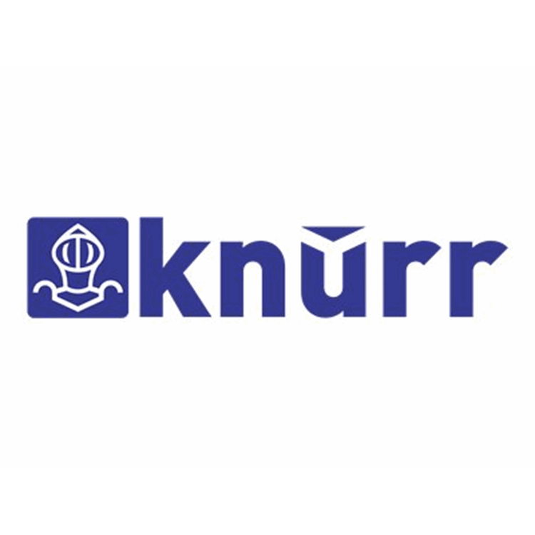 Vertiv Knuerr DIS Rack PDU rotector FI 0
