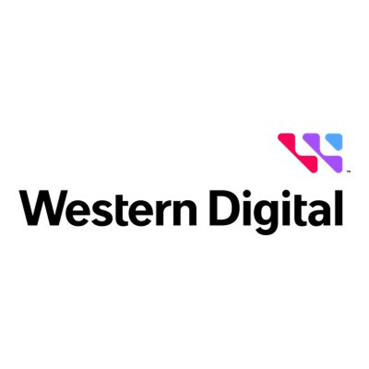 WESTERN DIGITAL Ultrastar DC HC590 24TB