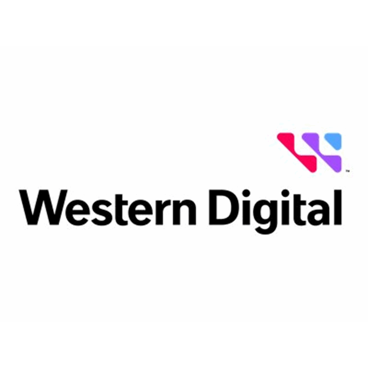 WESTERN DIGITAL ULTRASTAR SN200 6400GB