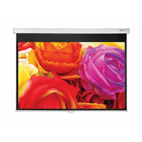 DS-1123PMG+/manual screen 16:10/166x266