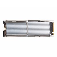 HP 256GB PCIe 2280 Val M.2 Kit SSD