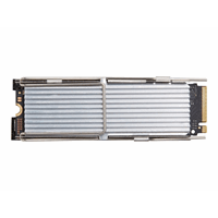 HP 256GB PCIe 2280 Val M.2 Kit SSD