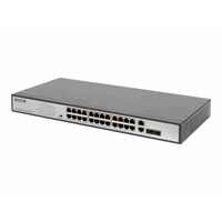 Fast Ethernet PoE Switch 24-port PoE