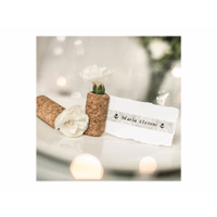 TZEMPSL31 12MM BLACK ON SILVER LACE TAPE