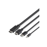TAA Dual Head HDMI/DP to DP and HDMI Co