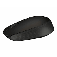 Wireless Mouse B170 BLACK BP