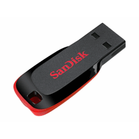 SanDisk USB Cruzer Blade 32GB SanDisk USB Cruzer Blade 32GB