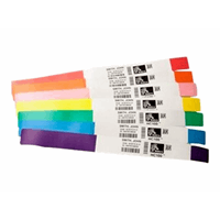 Z-BAND Direct ADULT 25X279MM