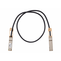 100GBASE-CR4 Passive Copper Cable 2m 100GBASE-CR4 Passive Copper Cable 2m