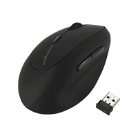 Kensington Pro Fit Ergo Wireless Mouse
