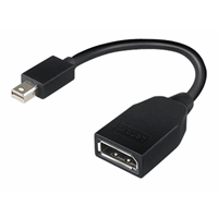 miniDP to DP adapter