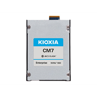 X121 CM7-R eSDD PRO 3.8T PCIe E3.S SIE
