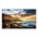 50" Edge LED Entry 3840x2160 16:9 300c