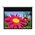 DE-1123EGA 16:10 screen DE-1123EGA 16:10 screen